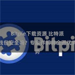 Bitpie下载资源 比特派钱包安全吗？专家详解其全面优势