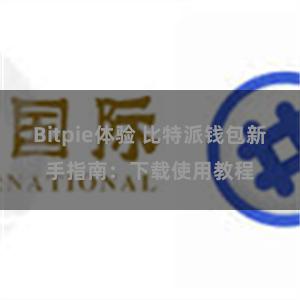 Bitpie体验 比特派钱包新手指南：下载使用教程