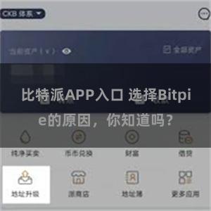 比特派APP入口 选择Bitpie的原因，你知道吗？