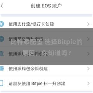 比特派配置 选择Bitpie的原因，你知道吗？