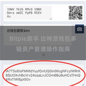 Bitpie新手 比特派钱包多链资产管理操作指南