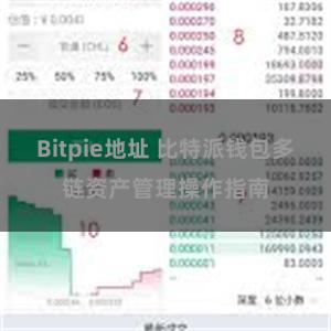 Bitpie地址 比特派钱包多链资产管理操作指南