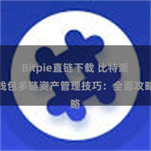 Bitpie直链下载 比特派钱包多链资产管理技巧：全面攻略