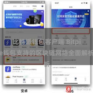 比特派钱包客户端 Bitpie钱包支持的区块链网络全面解析