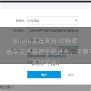 Bitpie系统支持 比特派钱包：数字资产管理生态进化，无限可能！