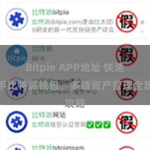 Bitpie APP地址 快速上手比特派钱包，多链资产管理全攻略