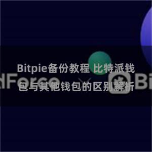 Bitpie备份教程 比特派钱包与其他钱包的区别解析