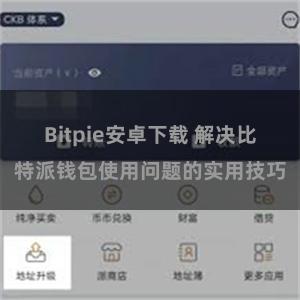 Bitpie安卓下载 解决比特派钱包使用问题的实用技巧