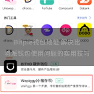 Bitpie钱包地址 解决比特派钱包使用问题的实用技巧