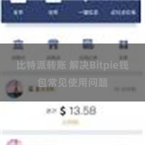 比特派转账 解决Bitpie钱包常见使用问题