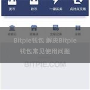 Bitpie钱包 解决Bitpie钱包常见使用问题