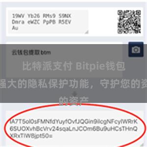 比特派支付 Bitpie钱包：强大的隐私保护功能，守护您的资产