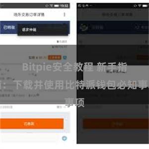 Bitpie安全教程 新手指南：下载并使用比特派钱包必知事项