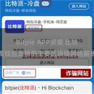 Bitpie APP安装 比特派钱包支持的主要区块链网络解析