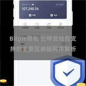 Bitpie隐私 比特派钱包支持的主要区块链网络解析