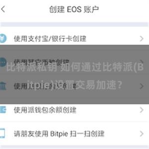 比特派私钥 如何通过比特派(Bitpie)设置交易加速？