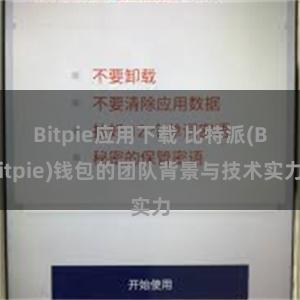 Bitpie应用下载 比特派(Bitpie)钱包的团队背景与技术实力