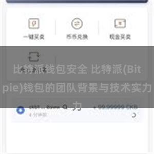 比特派钱包安全 比特派(Bitpie)钱包的团队背景与技术实力