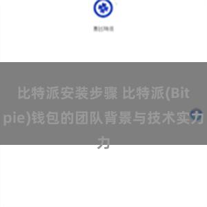 比特派安装步骤 比特派(Bitpie)钱包的团队背景与技术实力