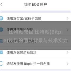 比特派教程 比特派(Bitpie)钱包的团队背景与技术实力