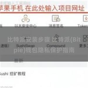 比特派安装步骤 比特派(Bitpie)钱包隐私保护指南