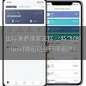 比特派多语言支持 比特派(Bitpie)钱包适合何种用户？