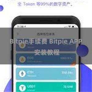 Bitpie手续费 Bitpie APP 安装教程