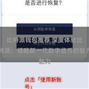 比特派钱包推荐 深度体验比特派：领略新一代数字货币的魅力