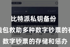 比特派私钥备份  比特派钱包救助多种数字钞票的存储和惩办